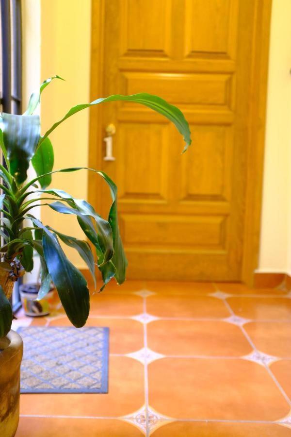 Pozzito Boutique Bed & Breakfast Сан Мигел де Аленде Екстериор снимка