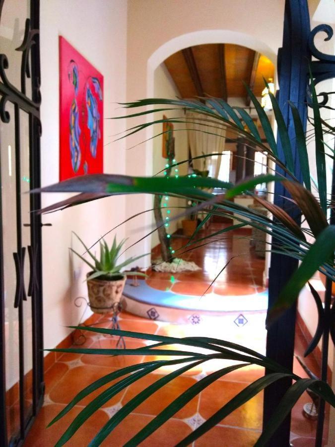 Pozzito Boutique Bed & Breakfast Сан Мигел де Аленде Екстериор снимка